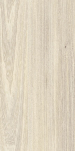 ModernWood Texture