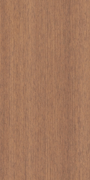 ModernWood Texture