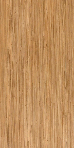 ModernWood Texture