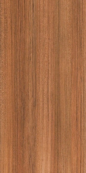 ModernWood Texture