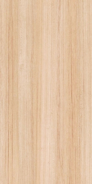 ModernWood Texture