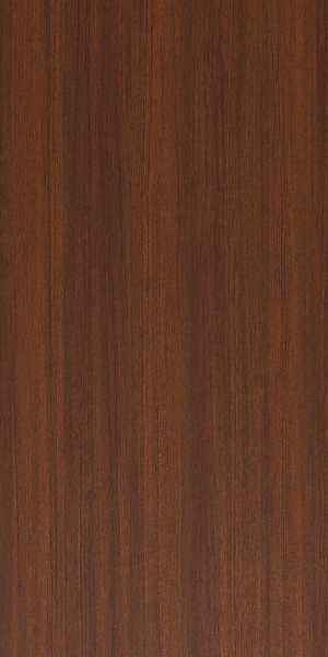 ModernWood Texture