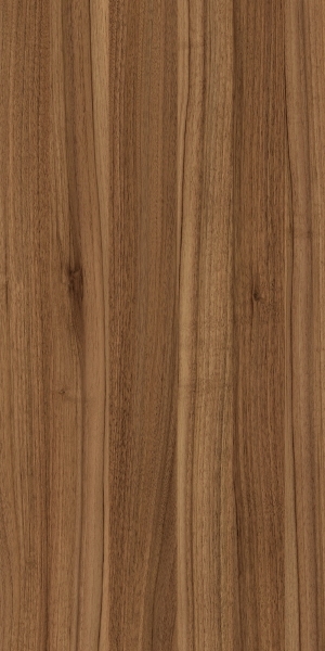 ModernWood Texture