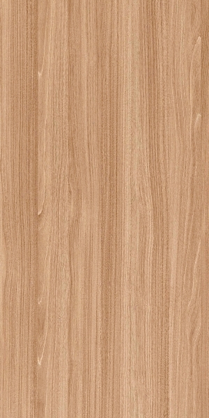ModernWood Texture