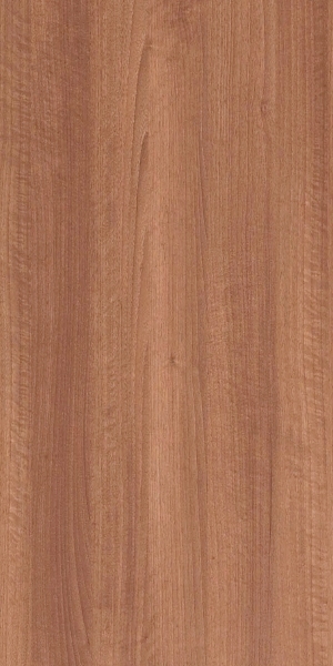 ModernWood Texture