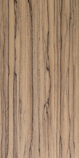 ModernWood Texture