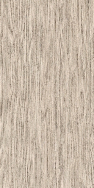 ModernWood Texture
