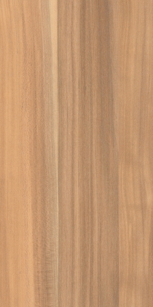 ModernWood Texture
