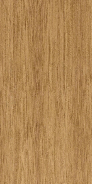ModernWood Texture