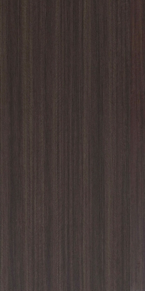 ModernWood Texture