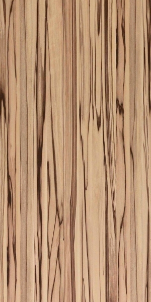 ModernWood Texture