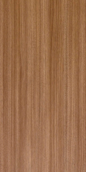 ModernWood Texture