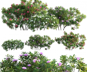 Modern Shrubbery-ID:995695119