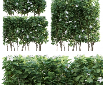 Modern Shrubbery-ID:867269047