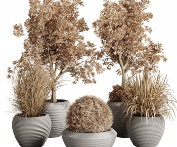 Modern Ground Green Plant Potted Plants-ID:630585916