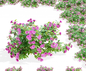 Modern Flowers And Grass-ID:797135112