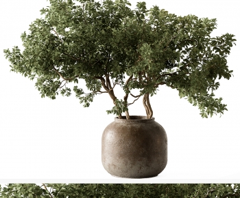 Modern Ground Green Plant Potted Plants-ID:547945981