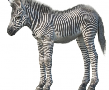 Modern Animal Horse-ID:689897066