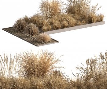 Modern The Grass-ID:973328111