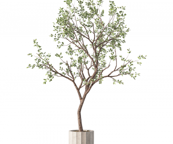 Modern Ground Green Plant Potted Plants-ID:991889003