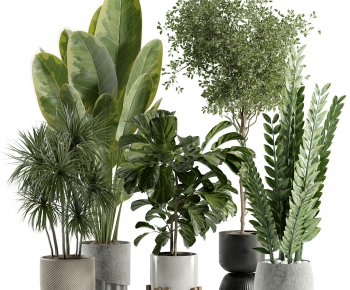 Modern Ground Green Plant Potted Plants-ID:710464003