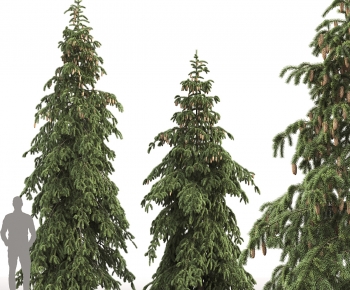 Modern Tree-ID:620615011