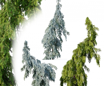 Modern Tree-ID:896095047