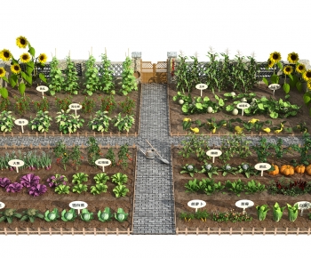 Modern Crop-ID:142508031