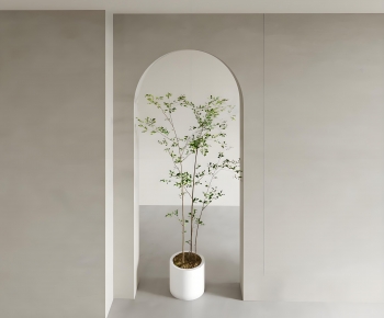 Modern Ground Green Plant Potted Plants-ID:509408006