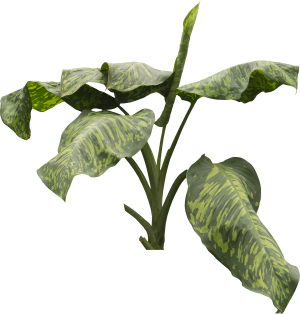 ModernPlant Leaves