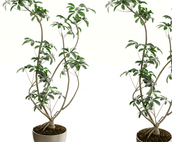 Modern Ground Green Plant Potted Plants-ID:925860465