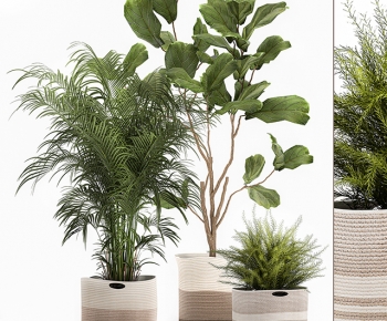 Modern Ground Green Plant Potted Plants-ID:769654047