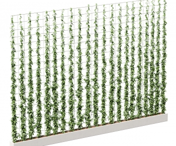 Modern Flower Bed, Flower Bowl, Flower Box-ID:414932012