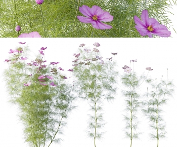 Modern Flowers And Grass-ID:492594004