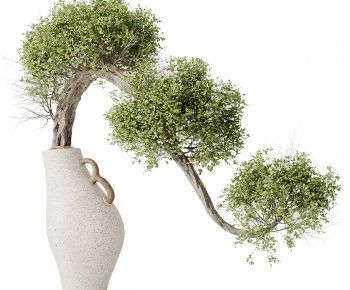 Modern Bonsai-ID:278517013