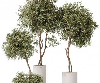 Modern Ground Green Plant Potted Plants-ID:696229996