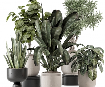 Modern Ground Green Plant Potted Plants-ID:991441017