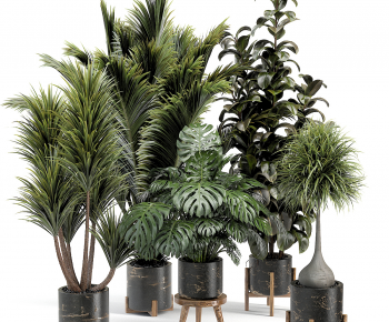 Modern Ground Green Plant Potted Plants-ID:715439397