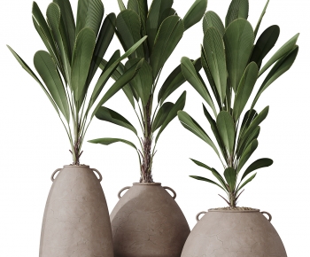 Modern Potted Green Plant-ID:164585112