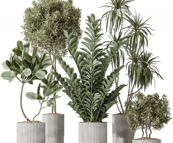 Modern Ground Green Plant Potted Plants-ID:435662981