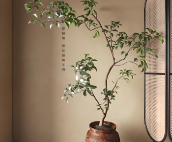 New Chinese Style Ground Green Plant Potted Plants-ID:592295893