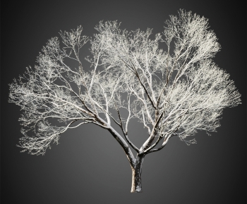 Modern Tree-ID:862828026