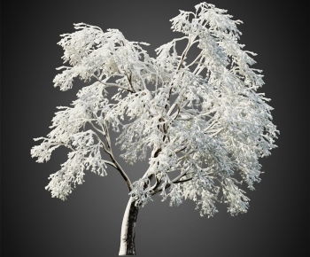 Modern Tree-ID:888381961