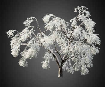 Modern Tree-ID:241802937