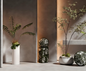 Modern Ground Green Plant Potted Plants-ID:610713963