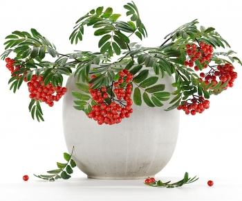 Modern Potted Green Plant-ID:118040083