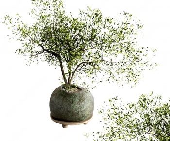 Modern Potted Green Plant-ID:150948059