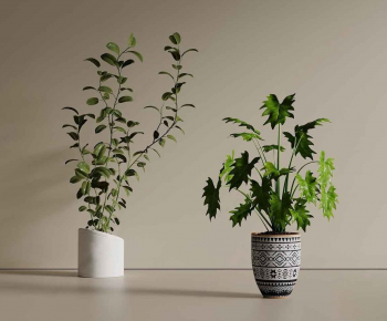 Modern Ground Green Plant Potted Plants-ID:439254052
