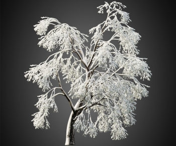 Modern Tree-ID:447410119