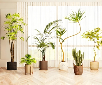 Modern Ground Green Plant Potted Plants-ID:539376977